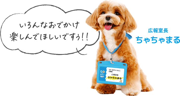 いろんなおでかけ楽しんでほしいですぅ！ 広報室長ちゃちゃまる