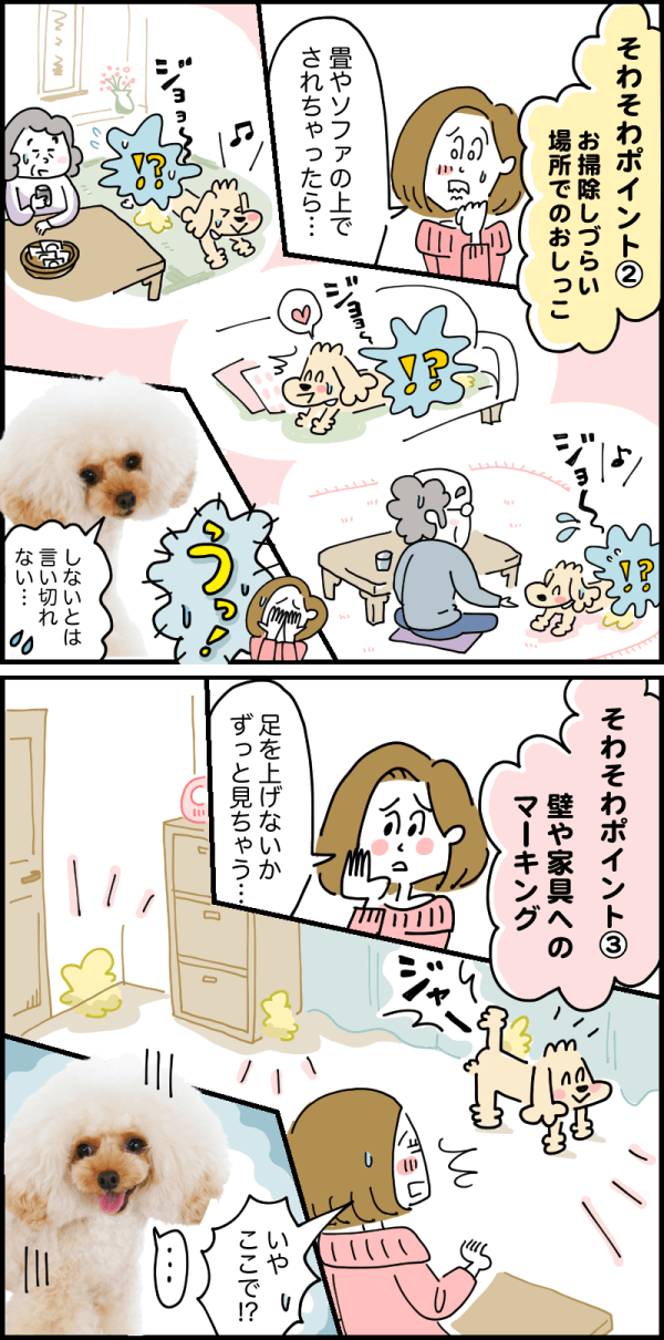 おでかけ時のそわそわ3選もまるっとお任せ編2