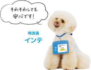 そわそわしても安心です！ 特派員インテ