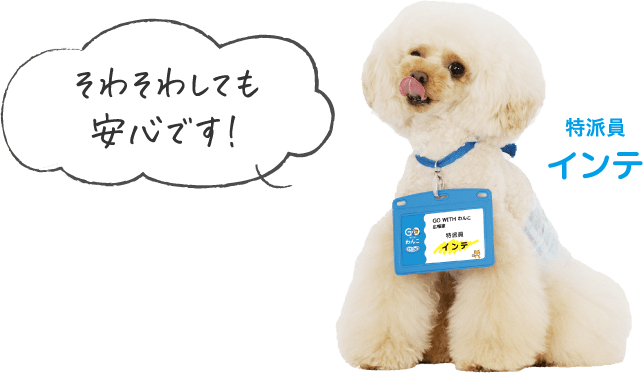そわそわしても安心です！ 特派員インテ