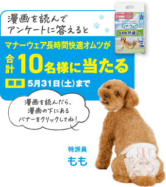 漫画を読んでアンケートに答えるとマナーウェア長時間快適オムツが合計10名様に当たる 期間5月31日（土）まで 漫画を読んだら、漫画の下にあるバナーをクリックしてね！ 特派員もも