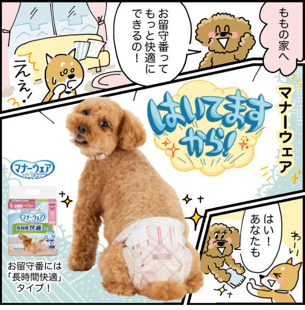 お留守番をもっと快適に!!編2