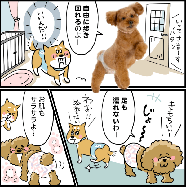 お留守番をもっと快適に!!編3