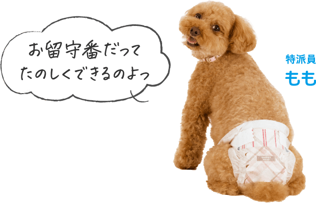 お留守番だってたのしくできるのよっ 特派員もも