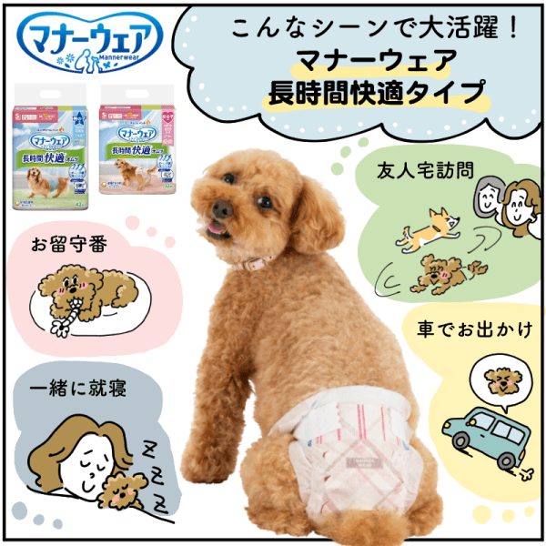 こんなシーンで大活躍！マナーウェア長時間快適タイプ 編1