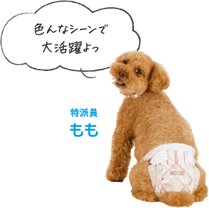 色んなシーンで大活躍よっ 特派員もも