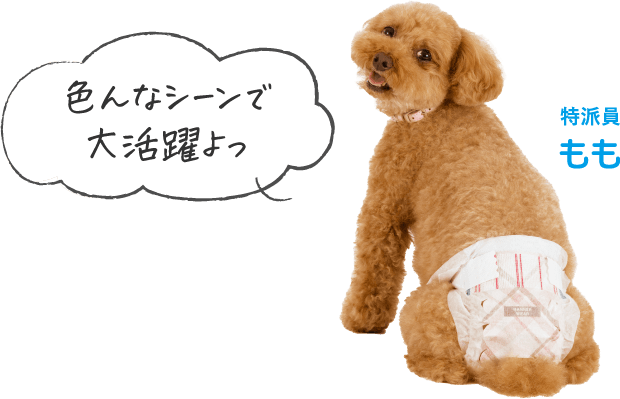 色んなシーンで大活躍よっ 特派員もも