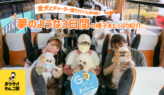 愛犬とチャーター便で行く九州の旅！夢のような3日間の様子をたっぷり紹介 おでかけわんこ部