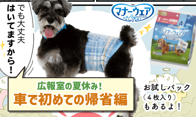 おでかけポイント！！広報室の夏休み！車で初めての帰省編