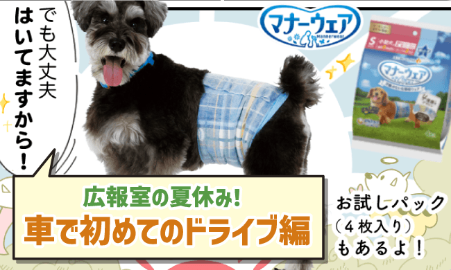 おでかけポイント！！広報室の夏休み！車で初めてのドライブ編