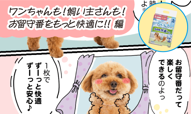 ワンちゃんも！飼い主さんも！お留守番をもっと快適に!!編
