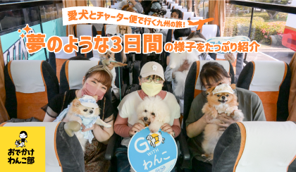 愛犬とチャーター便で行く九州の旅！夢のような3日間の様子をたっぷり紹介  おでかけわんこ部