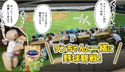 ワンちゃんと一緒に野球観戦ができる？話題の北海道日本ハムファイターズの新球場をワンちゃん目線でおでかけレポート