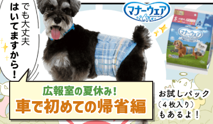 おでかけポイント！！広報室の夏休み！車で初めての帰省編
