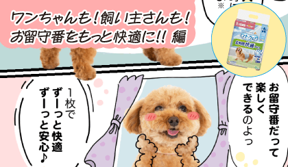 ワンちゃんも！飼い主さんも！お留守番をもっと快適に!!編