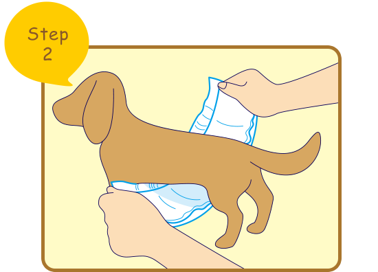 愛犬のための マナーウェア長時間オムツ男の子用 の着せ方 ユニ チャーム ペット
