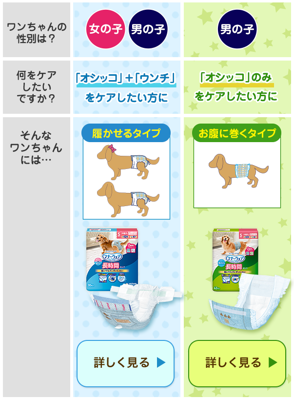 愛犬に合ったオムツは？