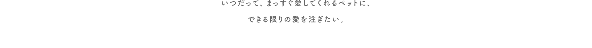 いつだって、まっすぐ愛してくれるペットに、できる限りの愛を注ぎたい。