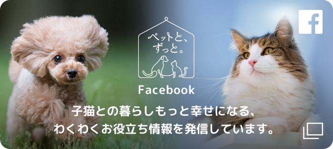 ペットと、ずっと。 Facebook 子猫との暮らしもっと幸せになる、わくわくお役立ち情報を発信しています。