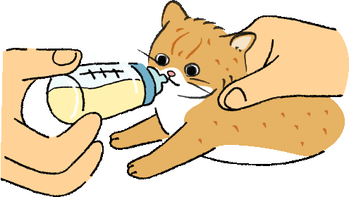 ミルクが子猫の気管に入らないように注意