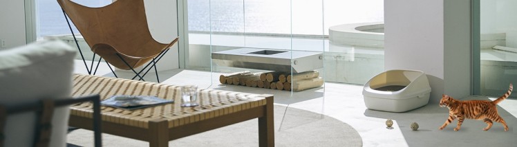 猫のトイレ特集 おすすめトイレの種類やしつけについて解説！