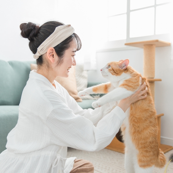 猫の健康を確認する方法