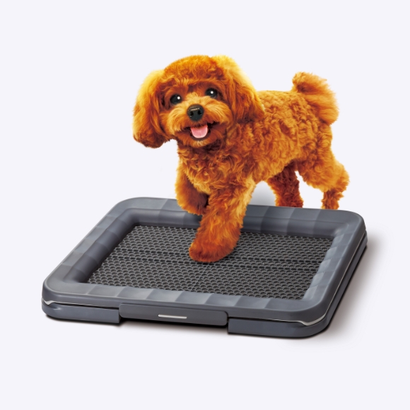 犬のトイレ用品の種類