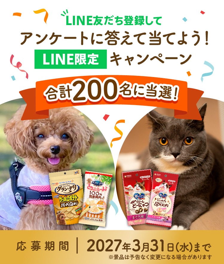 LINE限定キャンペーン