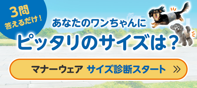 マナーウェア　サイズ診断