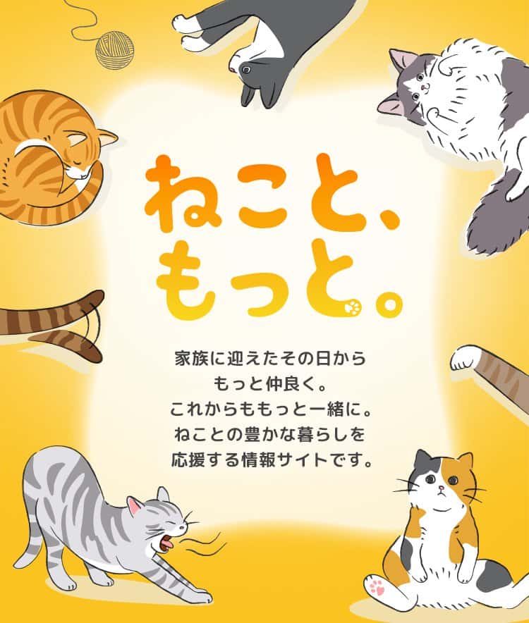  ねこともっと