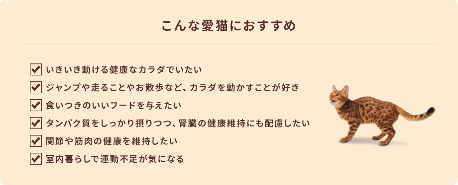 こんな愛猫におすすめ