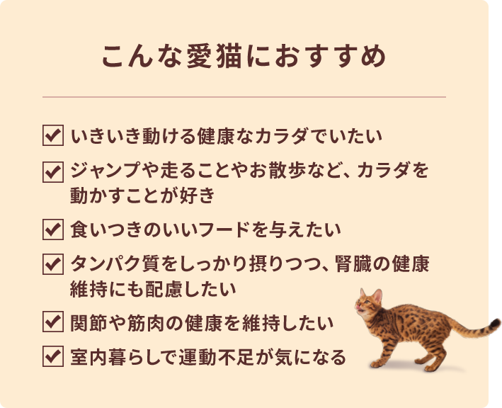 こんな愛猫におすすめ
