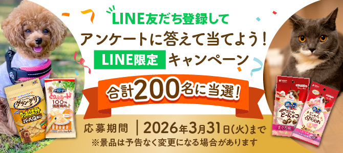 LINE限定キャンペーン