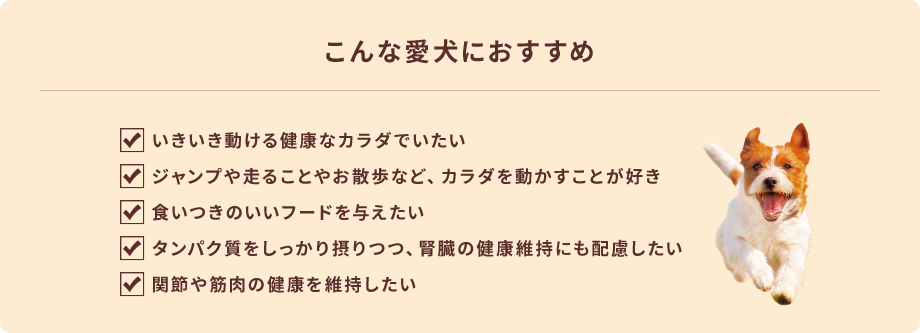 こんな愛犬におすすめ