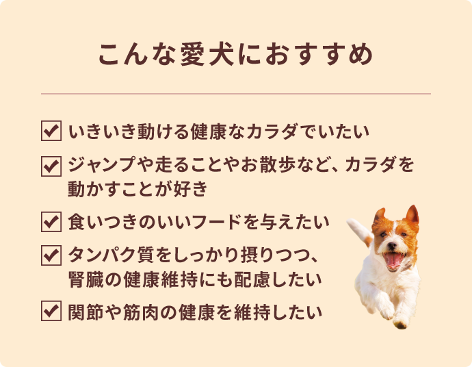 こんな愛犬におすすめ