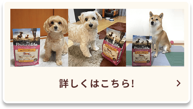 詳しくはこちら！