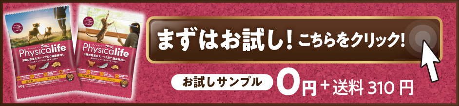 まずはお試し！こちらをタップ！