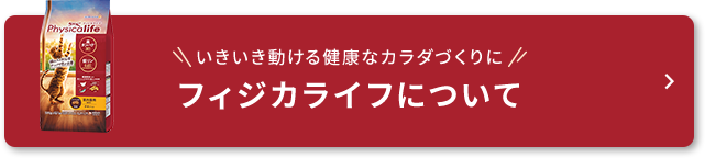 いきいき動けるカラダづくりに！フィジカライフについて