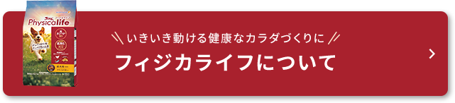 いきいき動けるカラダづくりに！フィジカライフについて