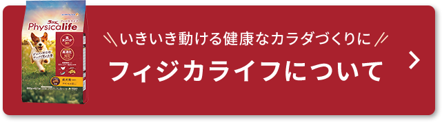 いきいき動けるカラダづくりに！フィジカライフについて