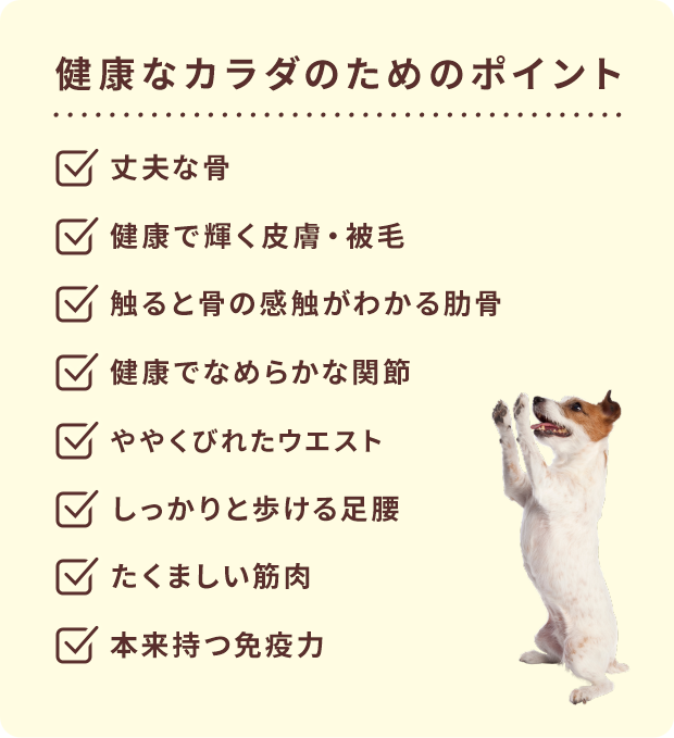 健康なカラダのためのポイント