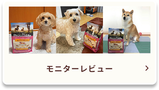 モニターレビュー