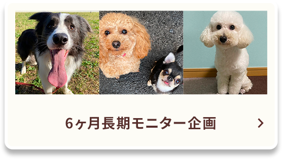 アンバサダーのご紹介