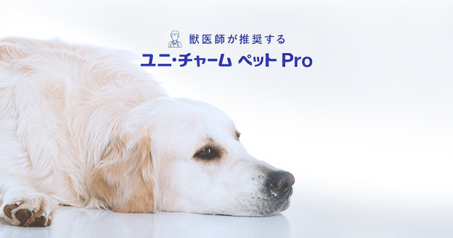 介護用品で愛犬と飼い主様をサポート 介護用マットなど | ユニ