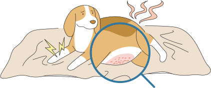 介護現場におけるペットシートの課題