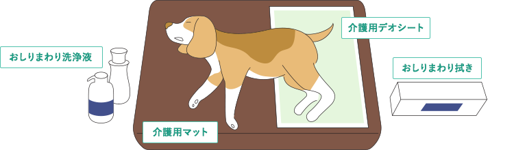 新介護システム