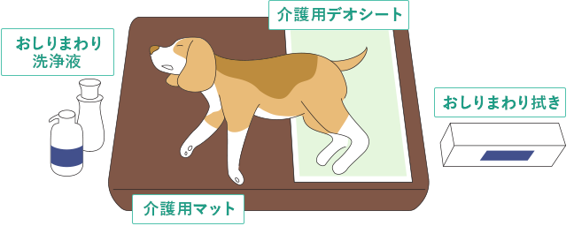 新介護システム