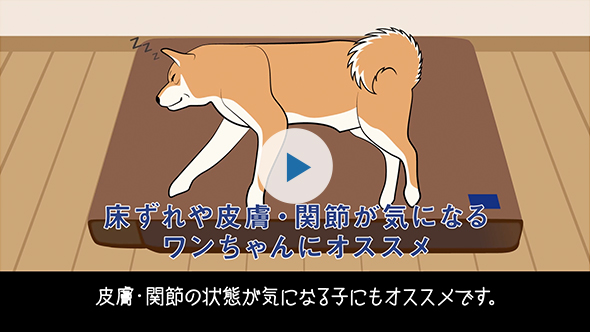 ユニ･チャーム ペット 「ワンLife」